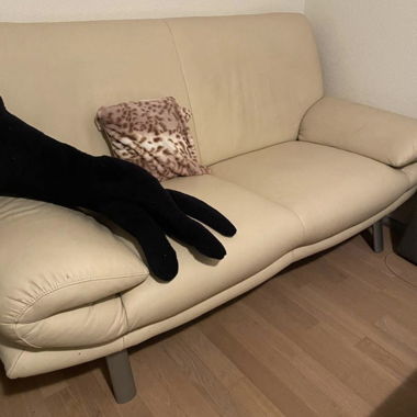 Ledersofa beige
