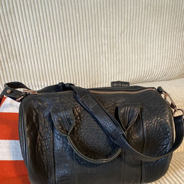 Alexanderwang rocco bag