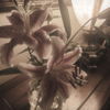 Vanity.46