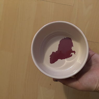 Small food/ drinks bowl for mice or guinea pigs