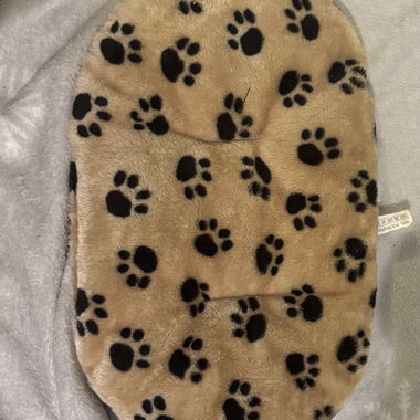 Lot d’accessoires pour petit chien