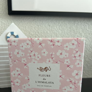 Perfume Rituals