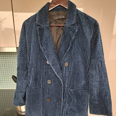 Velvet blue coat