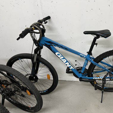 Bike Grant Size XS