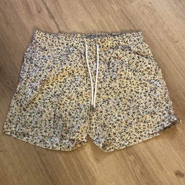 Swim Shorts