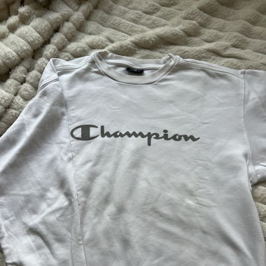 Sweater Champion