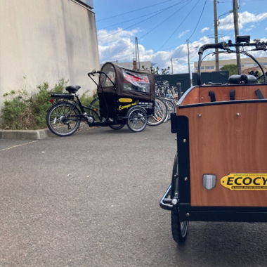 Electric Cargo Bike