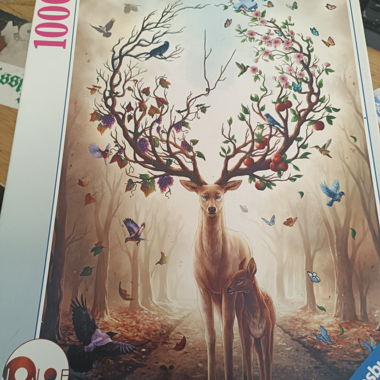 Ravensburger 1000-piece Puzzle