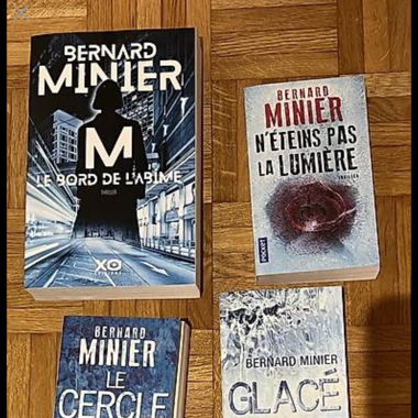 Romans Policiers Bernard Minier