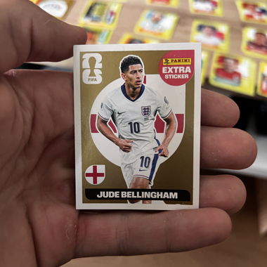 Panini FIFA Extra Sticker