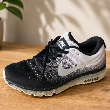 Nike Air Max Sneaker
