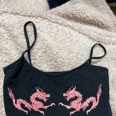 Dragon Crop Top