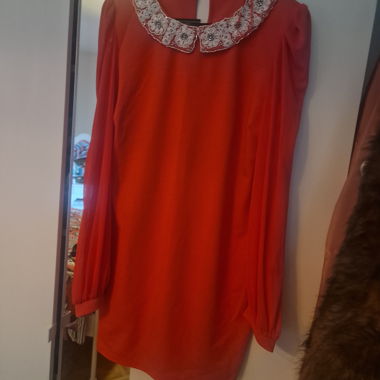 Red Blouse 