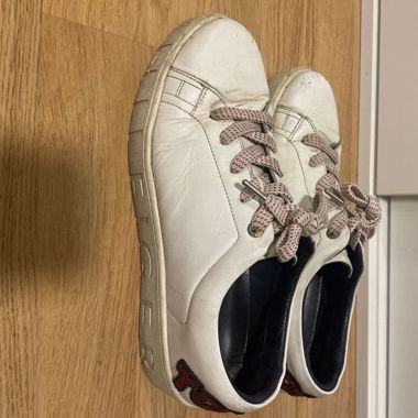 Tommy hilfiger sneakers