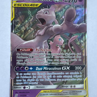 Mewtwo & Mew GX Card