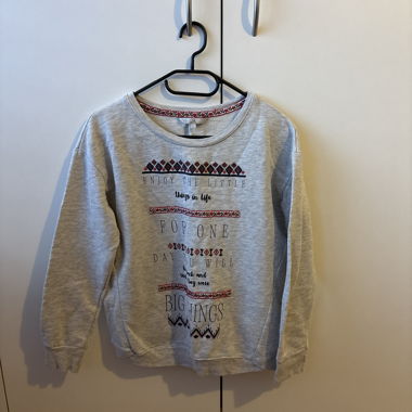  grey printed sweatshirt