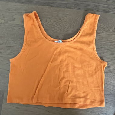 Orange Crop Top