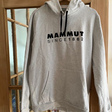 Felpa grigia Mammut