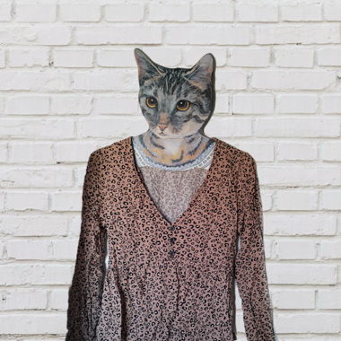 Leo Shirt