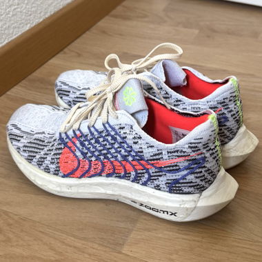 Nike Pegasus Turbo Next Nature