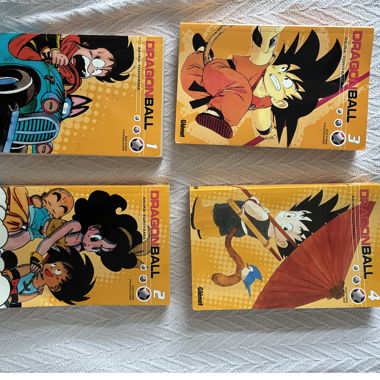 Livre dragon ball