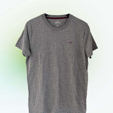 Hollister t-shirt 