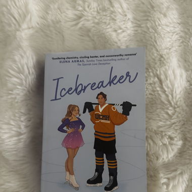 Icebreaker - Roman von Hannah Grace