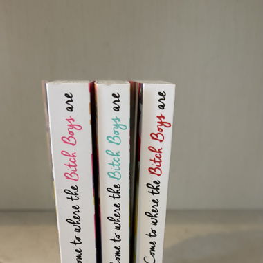 Come to where the bitch boys are Tome 1-3