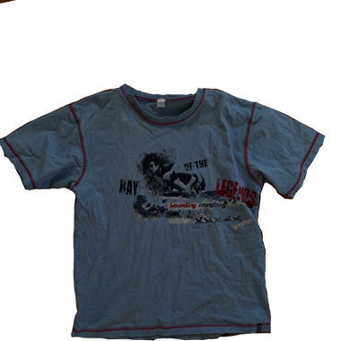 Vintage y2k streetwear baggy tshirt