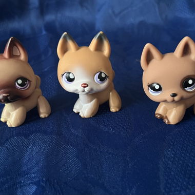 Littlest Pet Shop lps find your pet