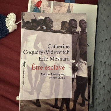 Essere schiavo- vidrovitch