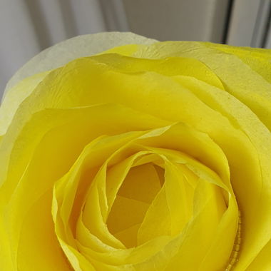 Blume aus Papier mit Perlen