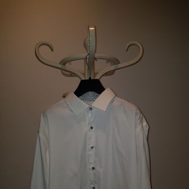White button down shirt with dragon flies lining