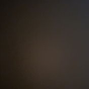 _tamara_