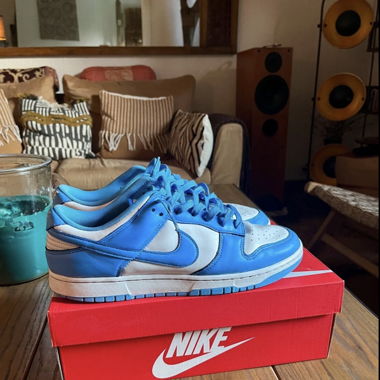 Nike Dunk UNC (2021)