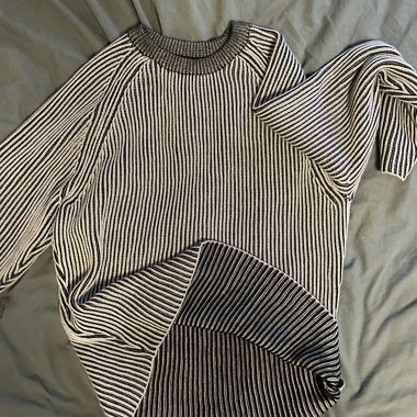 der schutze sweatshirt mit stickerei hinten