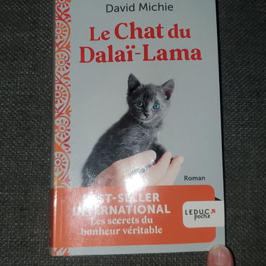 Le Chat du Dalai-Lama