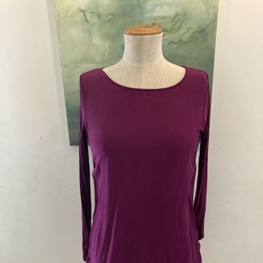 Blusenshirt