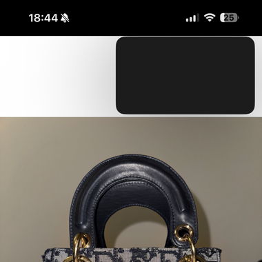 1 zu 1 blaue „Dior“ Tasche