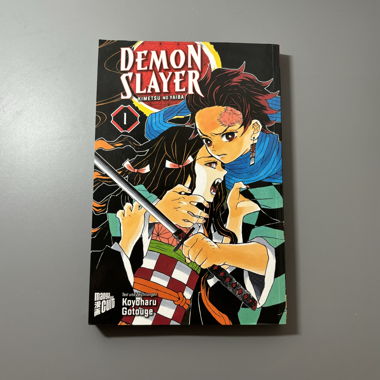 Demon Slayer Manga Band 1 (Deutsch)