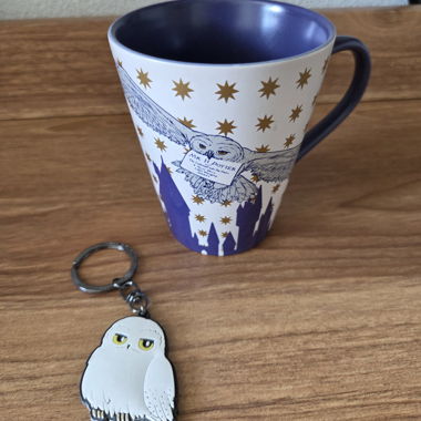 Tazza e portachiavi Hedwig