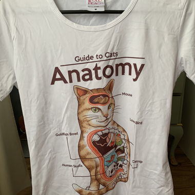 shirt 