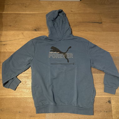 Blue Puma Hoodie