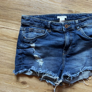 Destroyed Shorts
