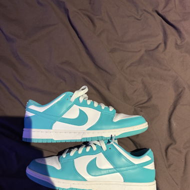 Nike Dunk Low no box