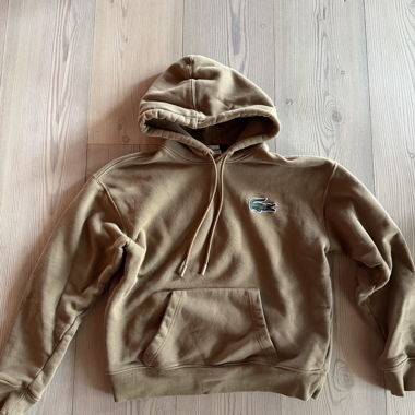 Felpa Lacoste marrone