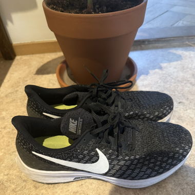 Nike run 42.5