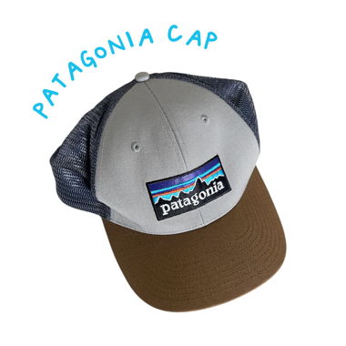 Patagonia cap