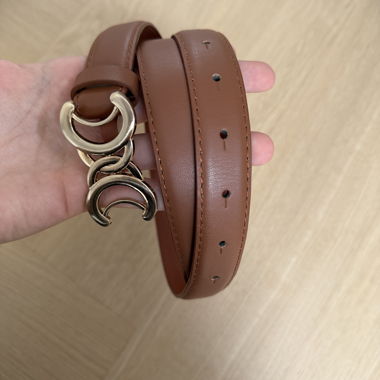 Brauner Ledergürtel mit goldener Schnalle