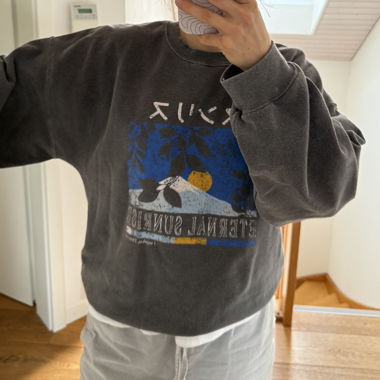 Grauer Sweatshirt